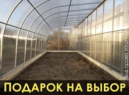 Теплица «ПРИСТЕНОК»